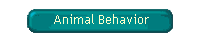 Animal Behavior