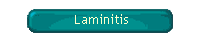 Laminitis