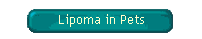 Lipoma in Pets