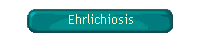 Ehrlichiosis