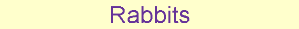 Rabbits