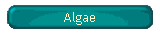 Algae