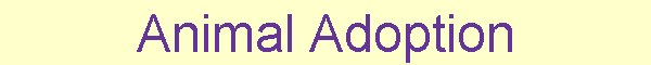 Animal Adoption
