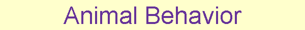 Animal Behavior