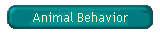 Animal Behavior