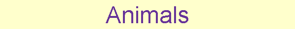 Animals