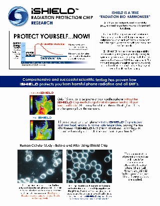 iShield Chip Research