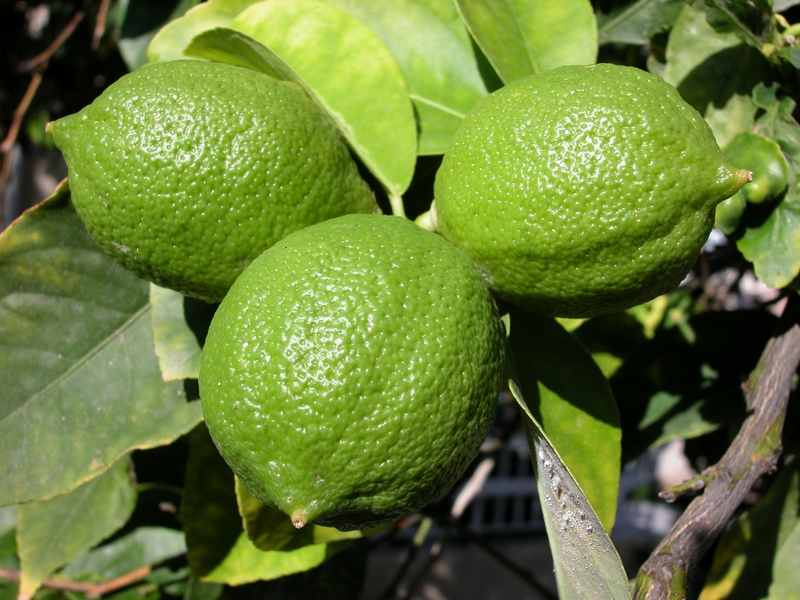 How much vitamin C is in a lime?