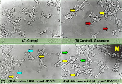 Cellular PSP Scientific Study