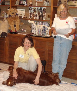 Doggie Massage Class