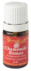 Roman chamomile