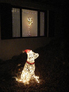 Santa Dog