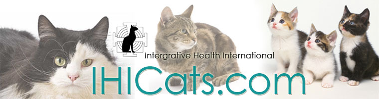 Integrated Health International