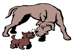 Noah's Bark