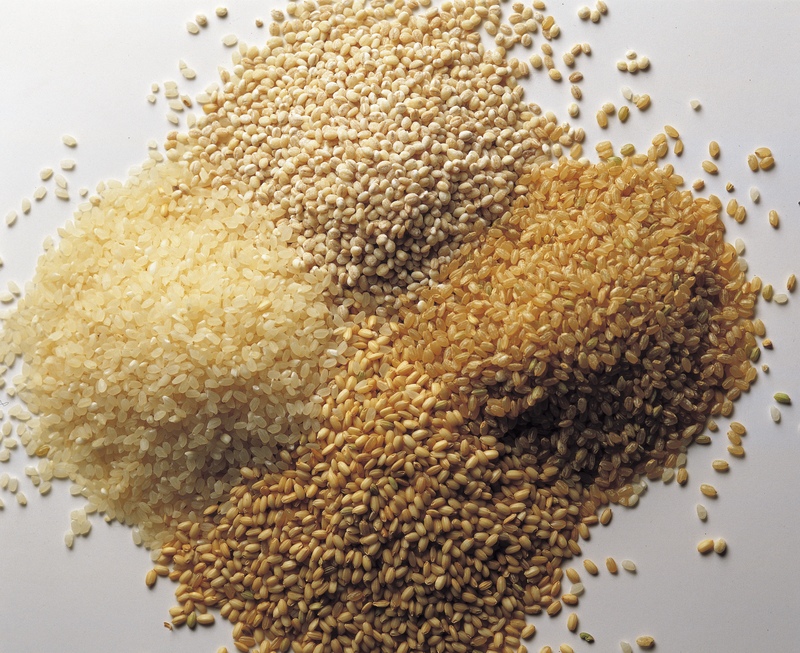 rice grains