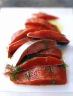 Salmon