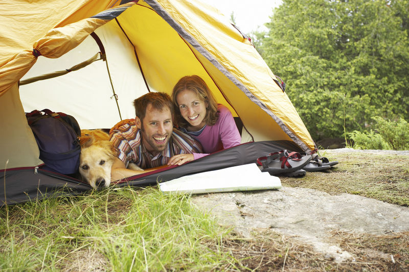 camping with doggie