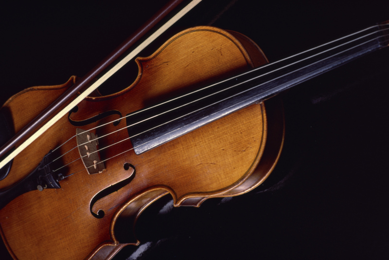 Violin